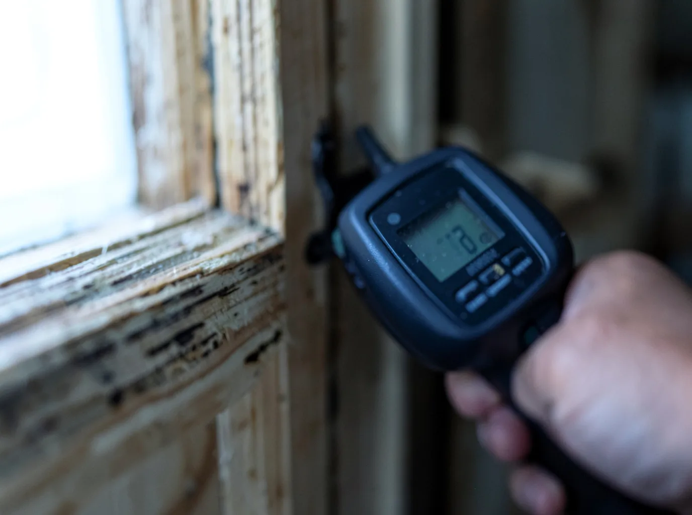 Moisture Inspection And Documentation in Hoagland, IN